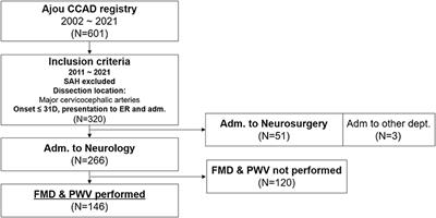 Influence of endothelial function and arterial stiffness on the behavior of cervicocephalic arterial dissections: An observational study